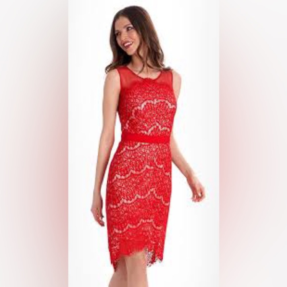 Red, lace overlay sheath dress, wedding guest, size 6.